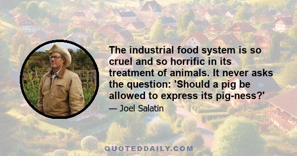 The industrial food system is so cruel and so horrific in its treatment of animals. It never asks the question: 'Should a pig be allowed to express its pig-ness?'