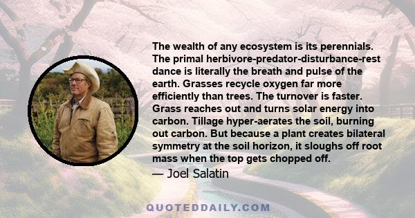 The wealth of any ecosystem is its perennials. The primal herbivore-predator-disturbance-rest dance is literally the breath and pulse of the earth. Grasses recycle oxygen far more efficiently than trees. The turnover is 