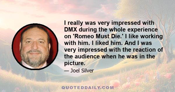 I really was very impressed with DMX during the whole experience on 'Romeo Must Die.' I like working with him. I liked him. And I was very impressed with the reaction of the audience when he was in the picture.