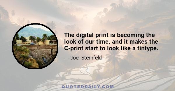 The digital print is becoming the look of our time, and it makes the C-print start to look like a tintype.