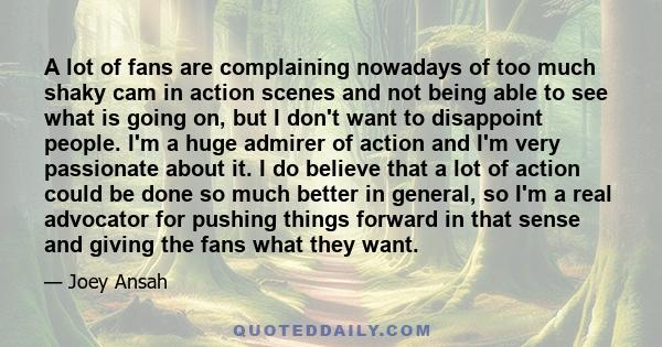 A lot of fans are complaining nowadays of too much shaky cam in action scenes and not being able to see what is going on, but I don't want to disappoint people. I'm a huge admirer of action and I'm very passionate about 