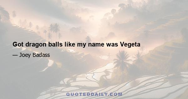 Got dragon balls like my name was Vegeta