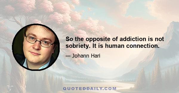 So the opposite of addiction is not sobriety. It is human connection.