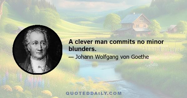 A clever man commits no minor blunders.