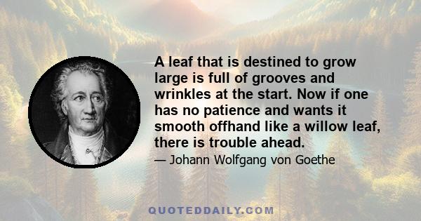 A leaf that is destined to grow large is full of grooves and wrinkles at the start. Now if one has no patience and wants it smooth offhand like a willow leaf, there is trouble ahead.