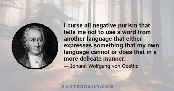 I curse all negative purism that tells me not to use a word from another language that either expresses something that my own language cannot or does that in a more delicate manner.