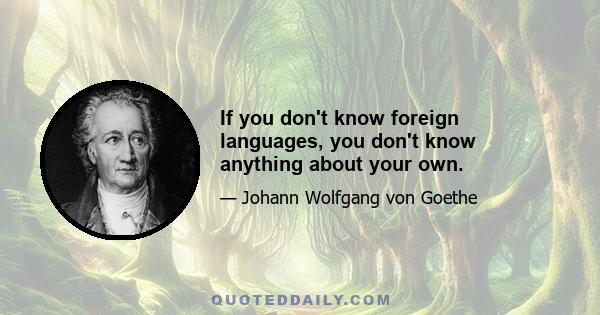 If you don't know foreign languages, you don't know anything about your own.