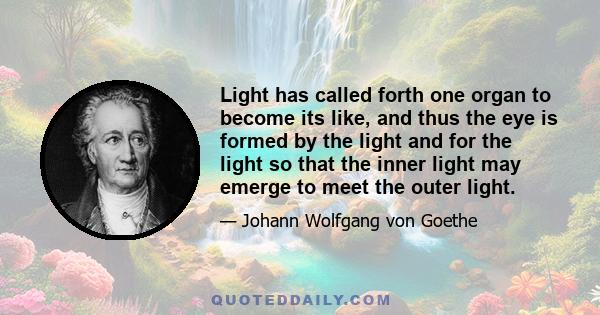 Light has called forth one organ to become its like, and thus the eye is formed by the light and for the light so that the inner light may emerge to meet the outer light.