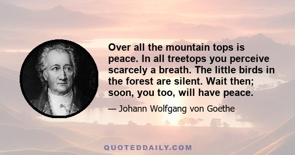 Over all the mountain tops is peace. In all treetops you perceive scarcely a breath. The little birds in the forest are silent. Wait then; soon, you too, will have peace.