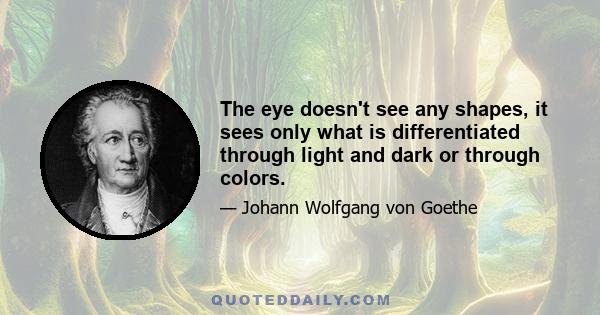 The eye doesn't see any shapes, it sees only what is differentiated through light and dark or through colors.