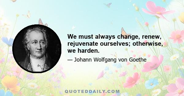 We must always change, renew, rejuvenate ourselves; otherwise, we harden.