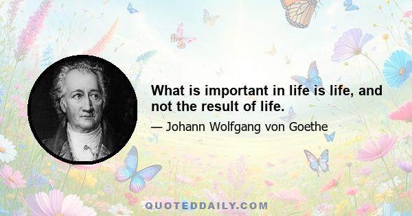 What is important in life is life, and not the result of life.