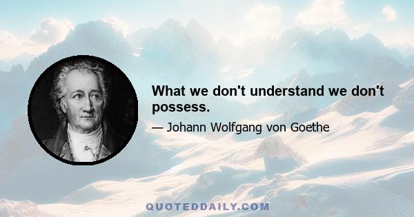 What we don't understand we don't possess.