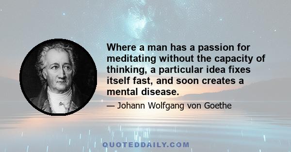 Where a man has a passion for meditating without the capacity of thinking, a particular idea fixes itself fast, and soon creates a mental disease.