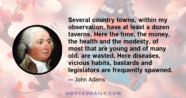 Several country towns, within my observation, have at least a dozen taverns. Here the time, the money, the health and the modesty, of most that are young and of many old, are wasted. Here diseases, vicious habits,