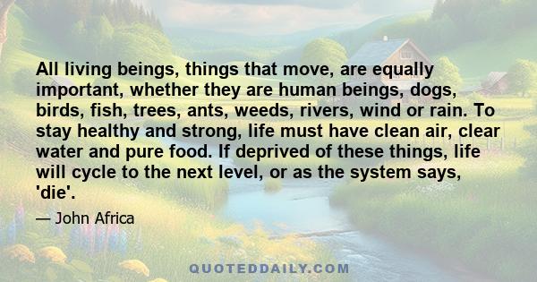 All living beings, things that move, are equally important, whether they are human beings, dogs, birds, fish, trees, ants, weeds, rivers, wind or rain. To stay healthy and strong, life must have clean air, clear water