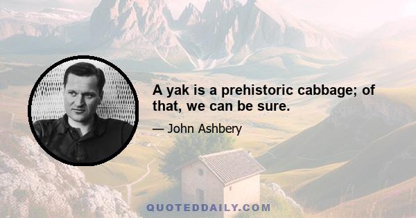 A yak is a prehistoric cabbage; of that, we can be sure.