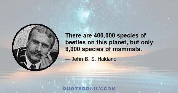 There are 400,000 species of beetles on this planet, but only 8,000 species of mammals.