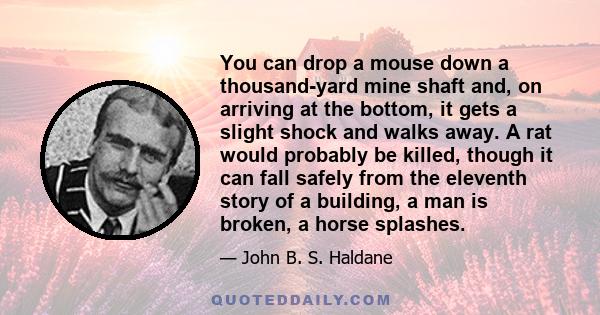 You can drop a mouse down a thousand-yard mine shaft and, on arriving at the bottom, it gets a slight shock and walks away. A rat would probably be killed, though it can fall safely from the eleventh story of a