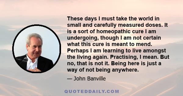 These days I must take the world in small and carefully measured doses. It is a sort of homeopathic cure I am undergoing, though I am not certain what this cure is meant to mend. Perhaps I am learning to live amongst