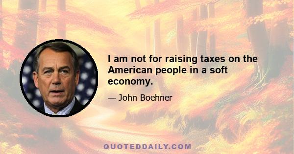 I am not for raising taxes on the American people in a soft economy.