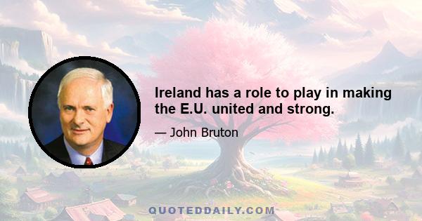 Ireland has a role to play in making the E.U. united and strong.