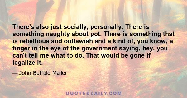 There's also just socially, personally. There is something naughty about pot. There is something that is rebellious and outlawish and a kind of, you know, a finger in the eye of the government saying, hey, you can't