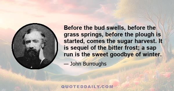 Before the bud swells, before the grass springs, before the plough is started, comes the sugar harvest. It is sequel of the bitter frost; a sap run is the sweet goodbye of winter.