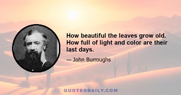 How beautiful the leaves grow old. How full of light and color are their last days.