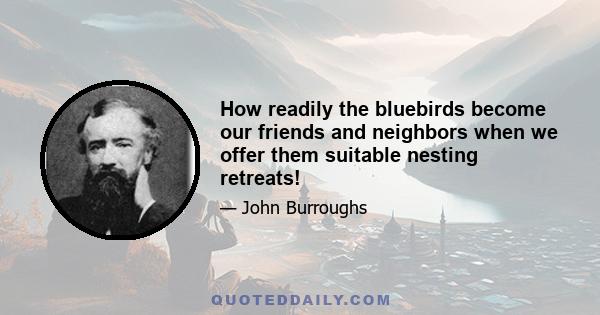 How readily the bluebirds become our friends and neighbors when we offer them suitable nesting retreats!