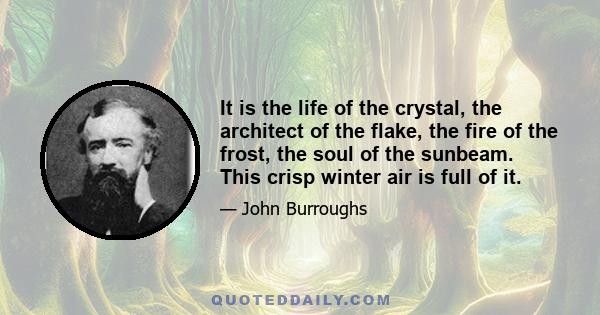 It is the life of the crystal, the architect of the flake, the fire of the frost, the soul of the sunbeam. This crisp winter air is full of it.