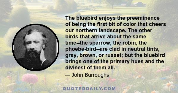 The bluebird enjoys the preeminence of being the first bit of color that cheers our northern landscape. The other birds that arrive about the same time--the sparrow, the robin, the phoebe-bird--are clad in neutral