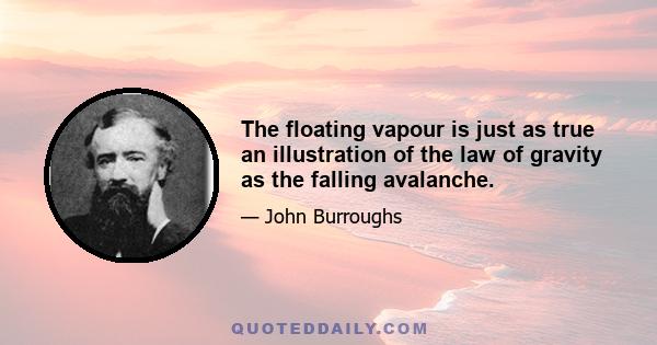 The floating vapour is just as true an illustration of the law of gravity as the falling avalanche.