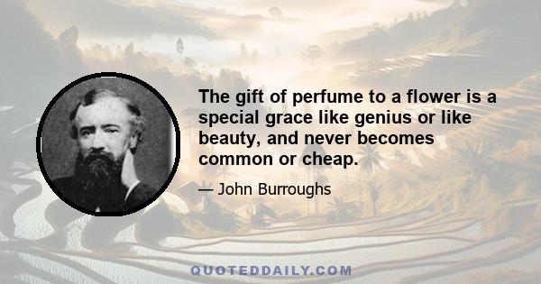 The gift of perfume to a flower is a special grace like genius or like beauty, and never becomes common or cheap.