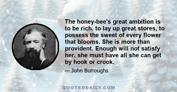 The honey-bee's great ambition is to be rich, to lay up great stores, to possess the sweet of every flower that blooms. She is more than provident. Enough will not satisfy her, she must have all she can get by hook or