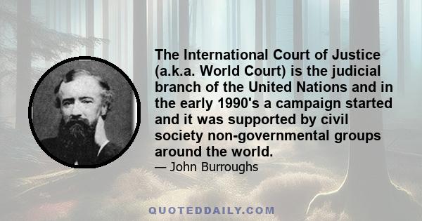 The International Court of Justice (a.k.a. World Court) is the judicial branch of the United Nations and in the early 1990's a campaign started and it was supported by civil society non-governmental groups around the