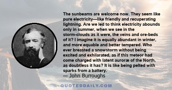 The sunbeams are welcome now. They seem like pure electricity—like friendly and recuperating lightning. Are we led to think electricity abounds only in summer, when we see in the storm-clouds as it were, the veins and