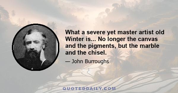 What a severe yet master artist old Winter is... No longer the canvas and the pigments, but the marble and the chisel.