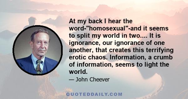 At my back I hear the word-homosexual-and it seems to split my world in two.... It is ignorance, our ignorance of one another, that creates this terrifying erotic chaos. Information, a crumb of information, seems to