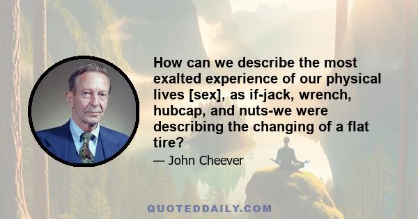 How can we describe the most exalted experience of our physical lives [sex], as if-jack, wrench, hubcap, and nuts-we were describing the changing of a flat tire?