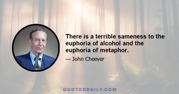 There is a terrible sameness to the euphoria of alcohol and the euphoria of metaphor.