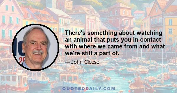 There's something about watching an animal that puts you in contact with where we came from and what we're still a part of.