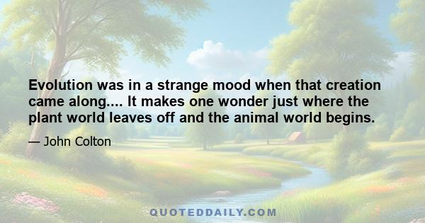 Evolution was in a strange mood when that creation came along.... It makes one wonder just where the plant world leaves off and the animal world begins.