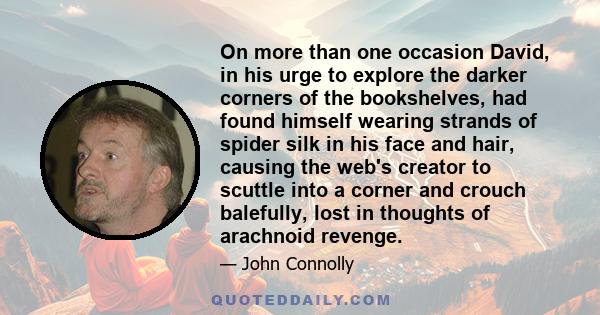 On more than one occasion David, in his urge to explore the darker corners of the bookshelves, had found himself wearing strands of spider silk in his face and hair, causing the web's creator to scuttle into a corner