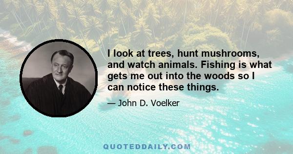 I look at trees, hunt mushrooms, and watch animals. Fishing is what gets me out into the woods so I can notice these things.