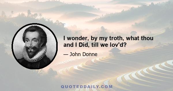 I wonder, by my troth, what thou and I Did, till we lov'd?