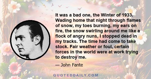 It was a bad one, the Winter of 1933. Wading home that night through flames of snow, my toes burning, my ears on fire, the snow swirling around me like a flock of angry nuns, I stopped dead in my tracks. The time had