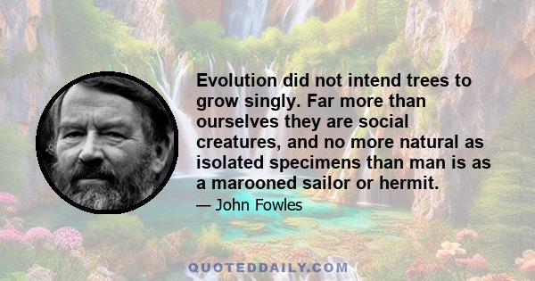 Evolution did not intend trees to grow singly. Far more than ourselves they are social creatures, and no more natural as isolated specimens than man is as a marooned sailor or hermit.