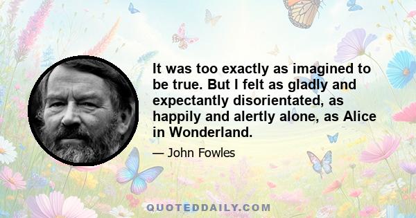 It was too exactly as imagined to be true. But I felt as gladly and expectantly disorientated, as happily and alertly alone, as Alice in Wonderland.