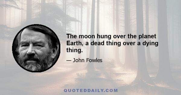 The moon hung over the planet Earth, a dead thing over a dying thing.